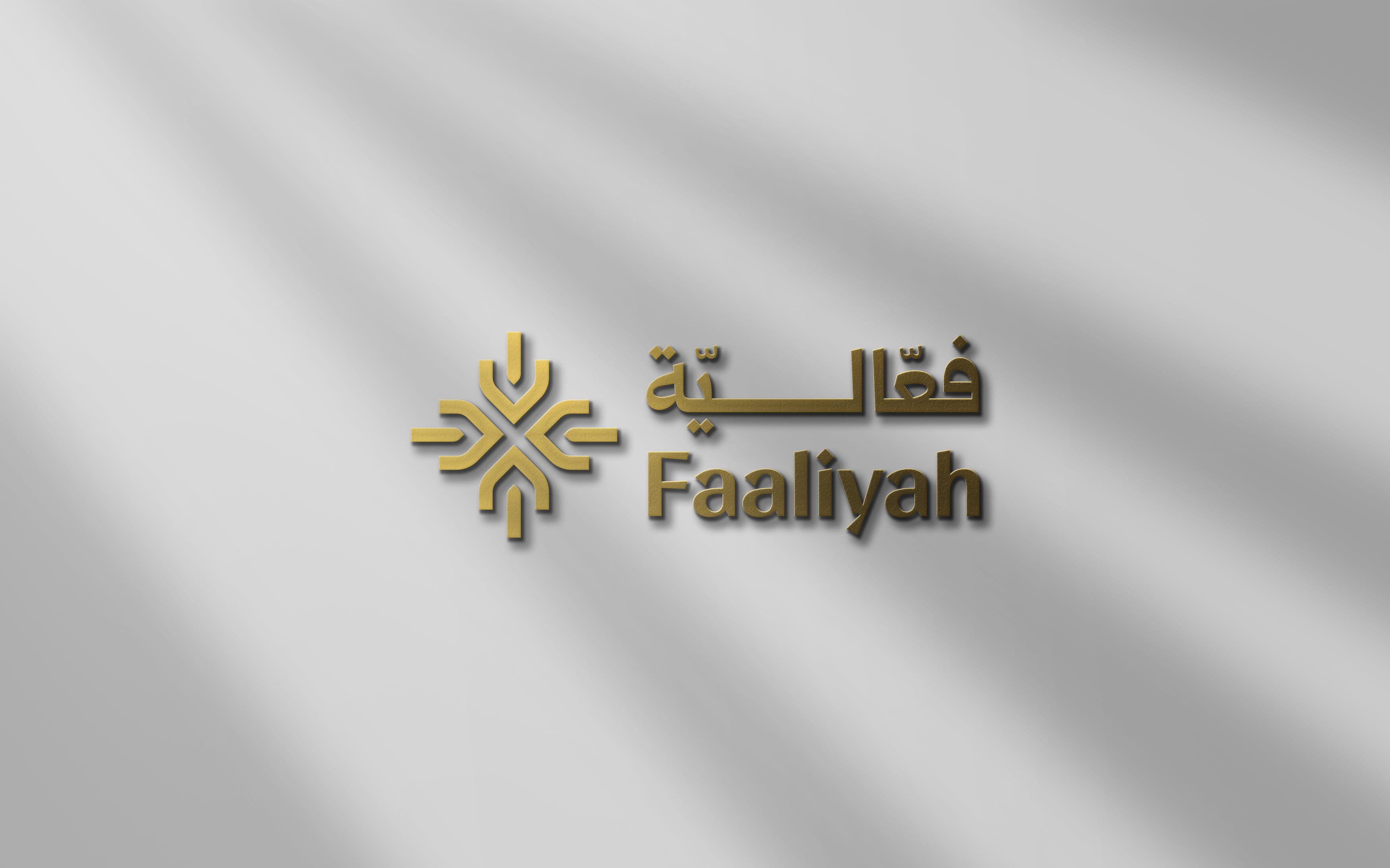 faalya project image.